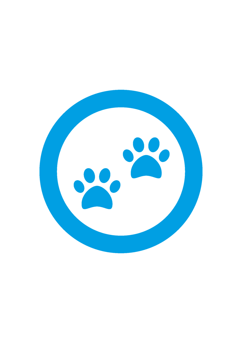 Show details for New Child-friendly social distancing floor stickers – Pack of 10 
