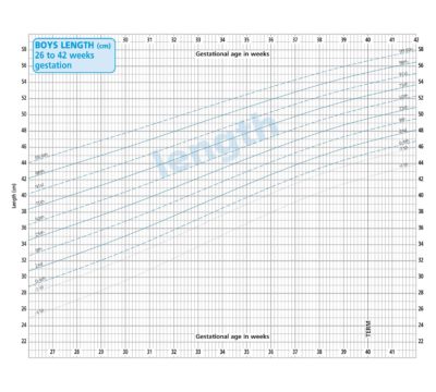 Show details for NICM Pre-Term And Low Birthweight PCHR Insert