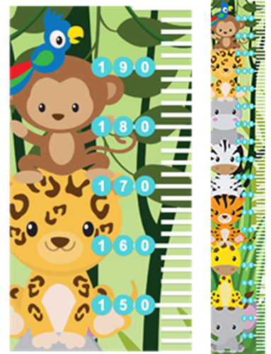 Show details for Paediatric Height Chart