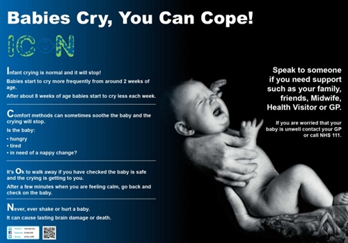 Show details for ICON – Poster 2