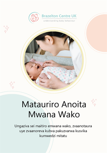 Show details for Brazelton – How Your Baby Communicates booklet (Shona)