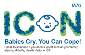 Show details for Baby Crying Leaflet