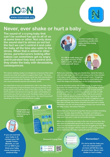 Show details for ICON – Poster – Never, ever shake or hurt a baby – gloss laminated