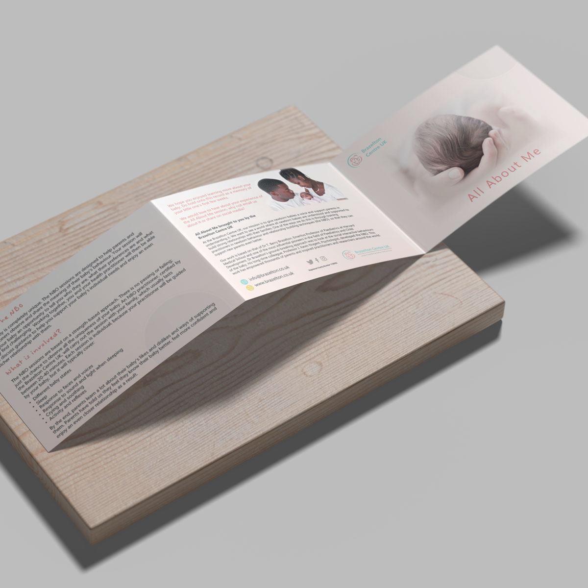 Picture of Leaflet